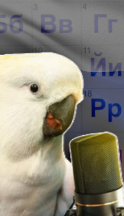 NAPRAVIO HAOS Papagaj koji priča ruski danima izmiče hvatanju