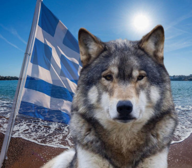 VUK NAPAO SRPSKO DETE U GRČKOJ? Majka spasila ćerku od zveri