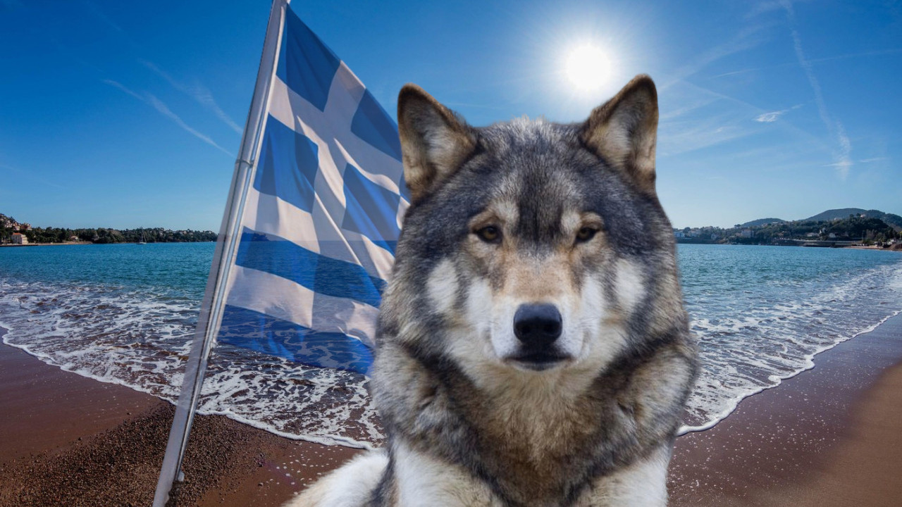 VUK NAPAO SRPSKO DETE U GRČKOJ? Majka spasila ćerku od zveri