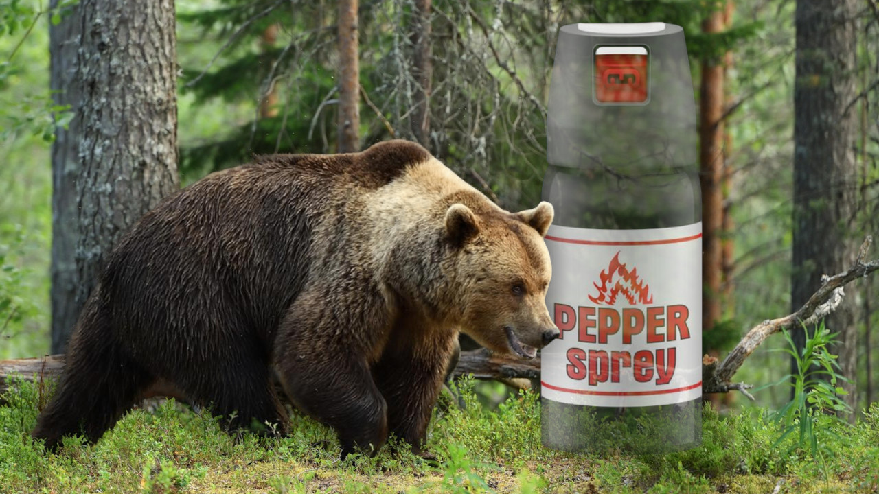 Попрскао медведа бибер спрејем и онда је почео хорор