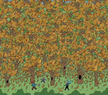 SAMO RETKIMA USPEVA: Pronađite vevericu skrivenu menju lišćem