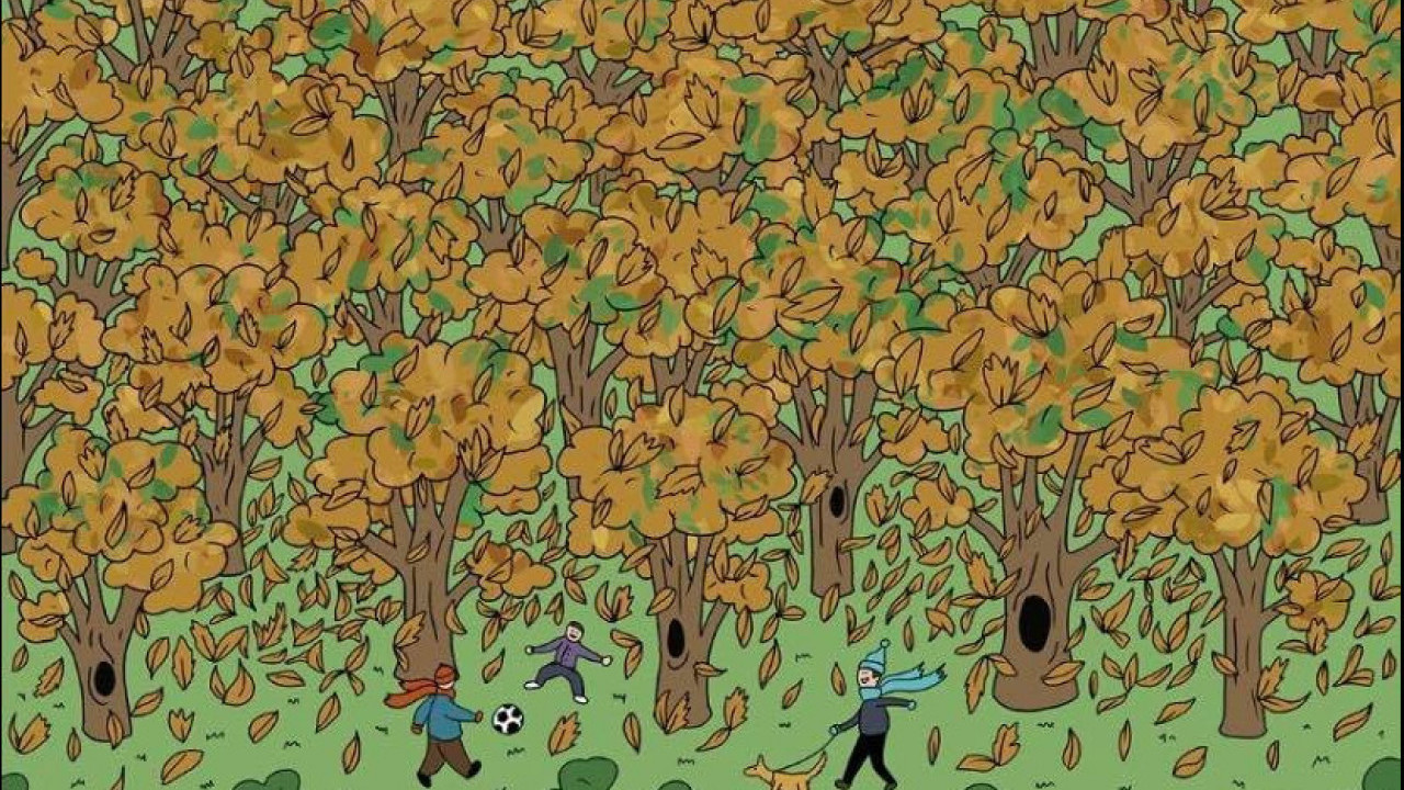 SAMO RETKIMA USPEVA: Pronađite vevericu skrivenu menju lišćem