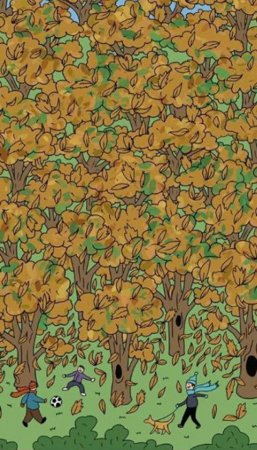 SAMO RETKIMA USPEVA: Pronađite vevericu skrivenu menju lišćem