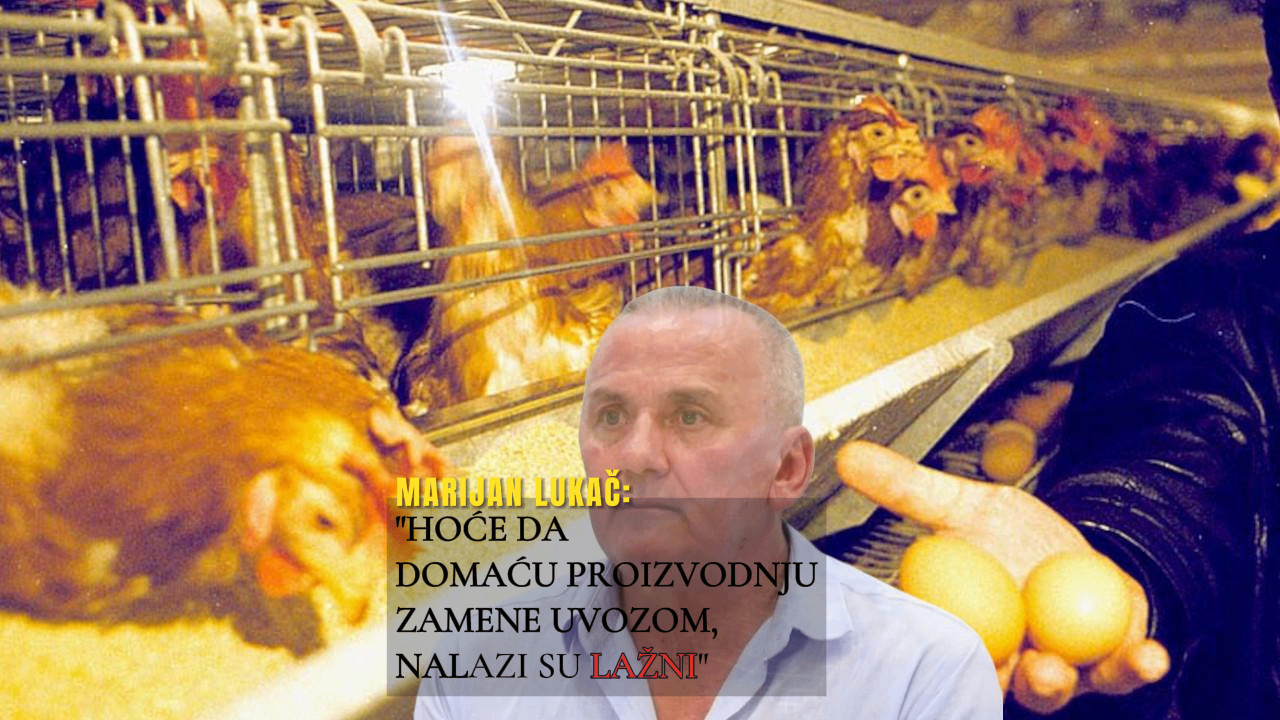 КРАЉ ЈАЈА ЗАТВАРА ФАРМЕ Налог да убије 163.000 кока,он бесан