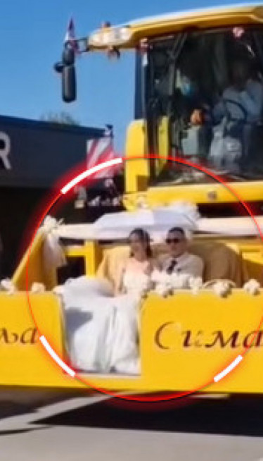 HIT U BAČKOJ PALANCI Vidite u čemu mladenci stižu na svadbu!
