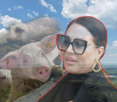 Цеца прави фарму, мештани брину: "Не сме да УНИШТИ СВЕТИЊУ"