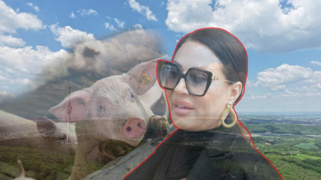 ОГЛАСИО СЕ: "Ја сам Цеци продао плац за фарму свиња"