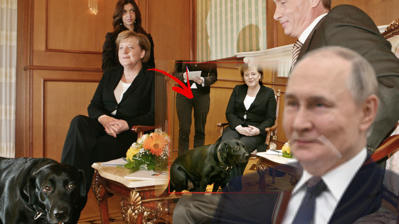 PUTIN UĆUTKAO MERKELOVU: Psom pokazao psihološku igru
