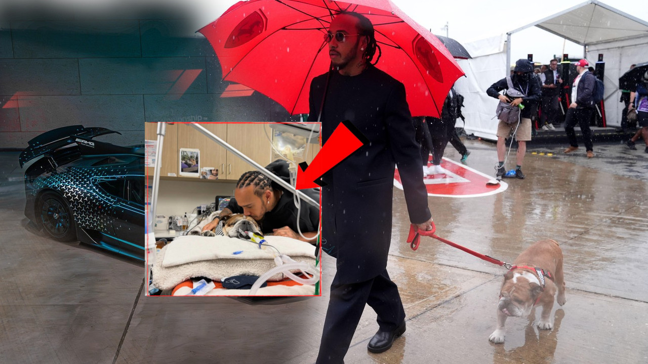 ХАМИЛТОН СВЕ ОТКАЗАО "Не знам да ли ће се пробудити из коме"