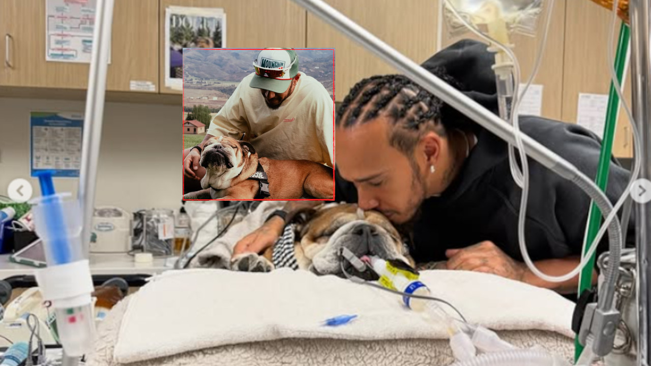 "Umro mi je na rukama, ovo je najteža odluka u mom životu"