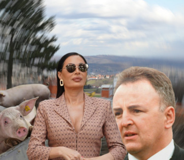 SARAĐIVAO S ARKANOM Evo od koga je Ceca kupila plac na Avali