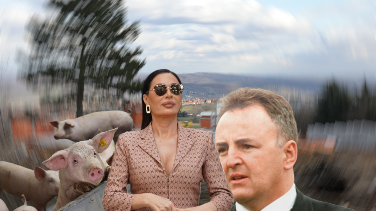 SARAĐIVAO S ARKANOM Evo od koga je Ceca kupila plac na Avali