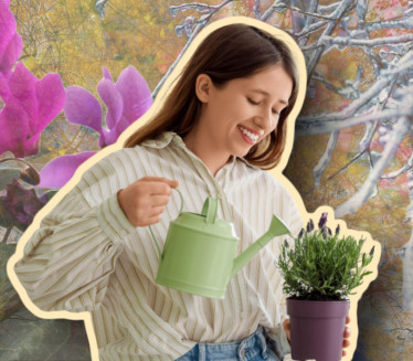 TRIK STARIH BAŠTOVANA: Kako da pripremite biljke za prvi mraz