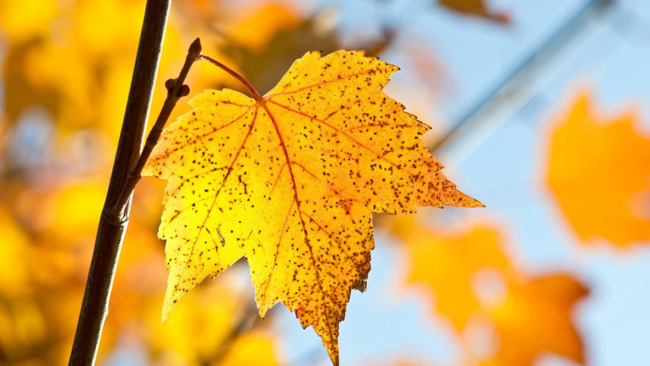 SMENA SUNCA I KIŠE: Kakvo nas vreme očekuje danas