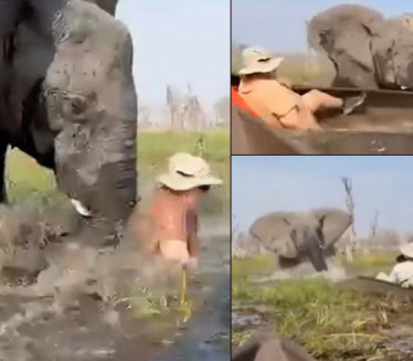 UGROZILI MLADUNCE: Slonica prevrnula kanu, u vodi krokodili