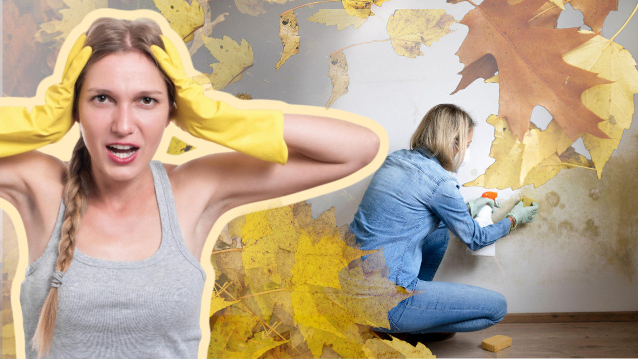 ŠTETNA PO ZDRAVLJE: Kako se najlakše rešiti vlage u domu?