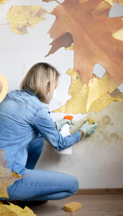 ШТЕТНА ПО ЗДРАВЉЕ: Како се најлакше решити влаге у дому?