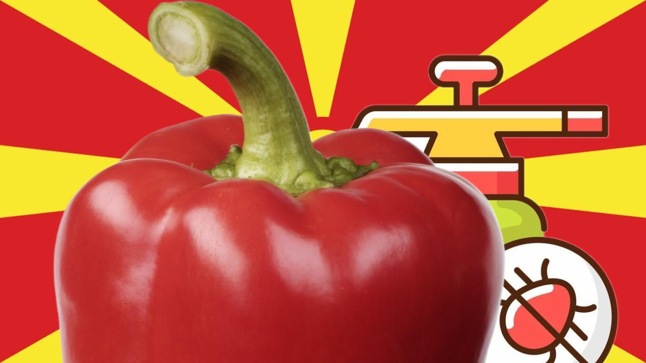 PET PUTA VIŠE: U paprikama pesticid štetan za ljude