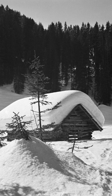 ПОЛАРНИ ВРТЛОГ ДОНОСИ ХЛАДНУ ЗИМУ Познато када ће све почети