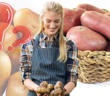 CRVENI ILI BELI KROMPIR? Koji je zdraviji -razlika nije mala