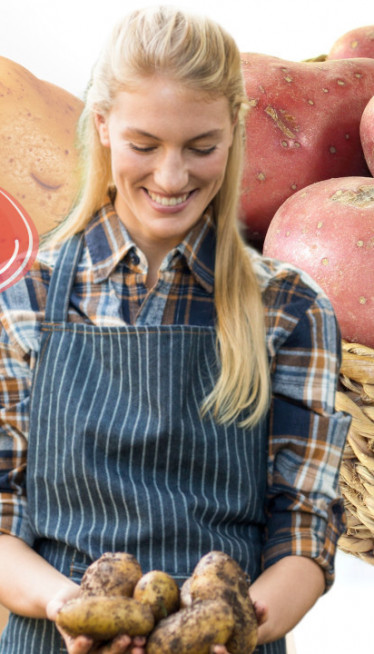 ЦРВЕНИ ИЛИ БЕЛИ КРОМПИР? Који је здравији -разлика није мала