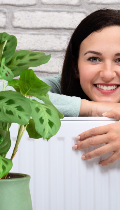 СПРЕЧАВАЈУ ВЛАГУ И БУЂ Ове биљке су спас током грејне сезоне