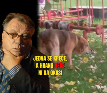 HALIDOV PAS U KRITIČNOM STANJU: 7. dan kako NIŠTA ne jede