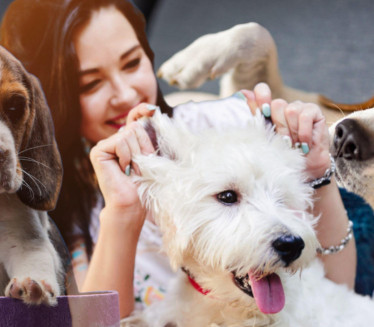 MOŽETE IM BEZGRANIČNO VEROVATI: Pet najodanijih rasa pasa