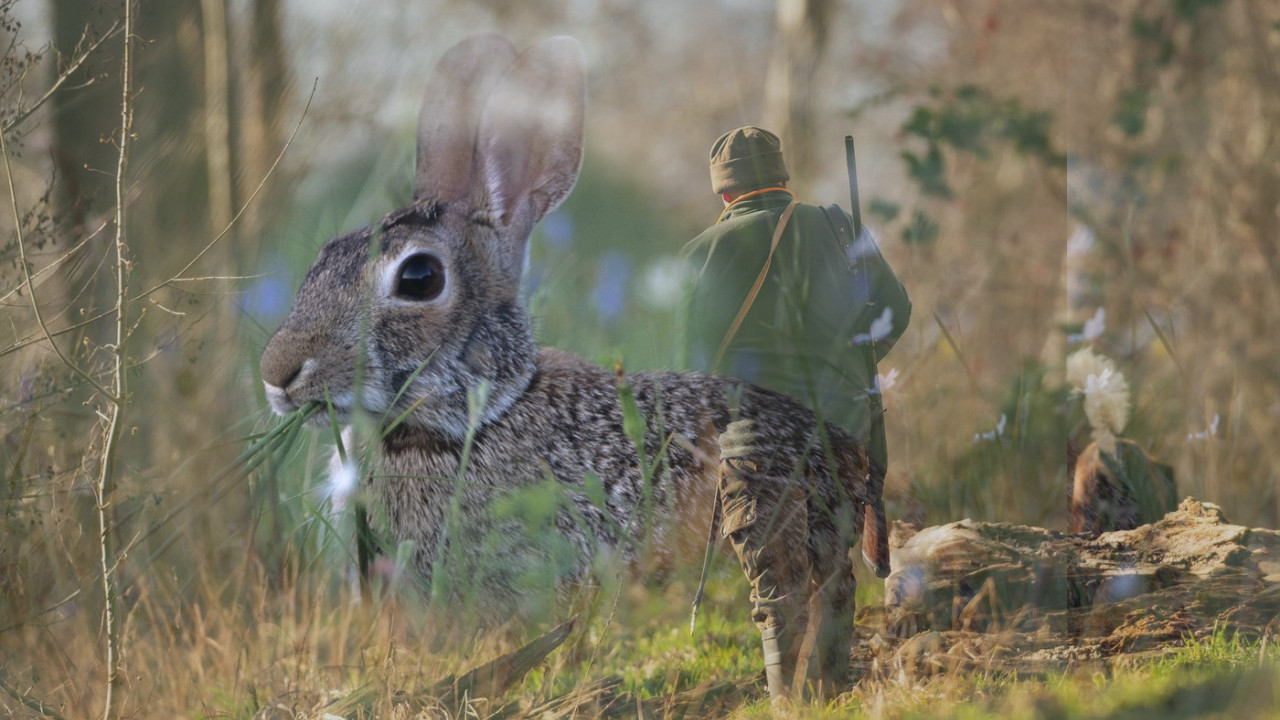ŠOK SLUČAJ SRPSKOG VOĆARA Na sudu zbog zečeva, platili lovci
