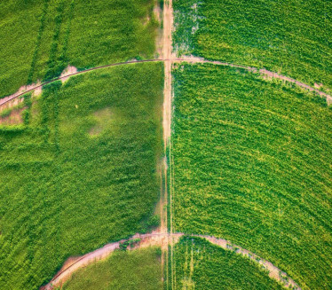 Usred ničega na Gorici pronašli blago, mnogi će se obogatiti