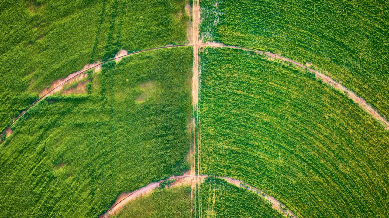 Usred ničega na Gorici pronašli blago, mnogi će se obogatiti
