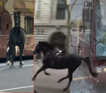 KONJ NAPRAVIO HAOS U LONDONU: Završio karijeru, sad penzioner