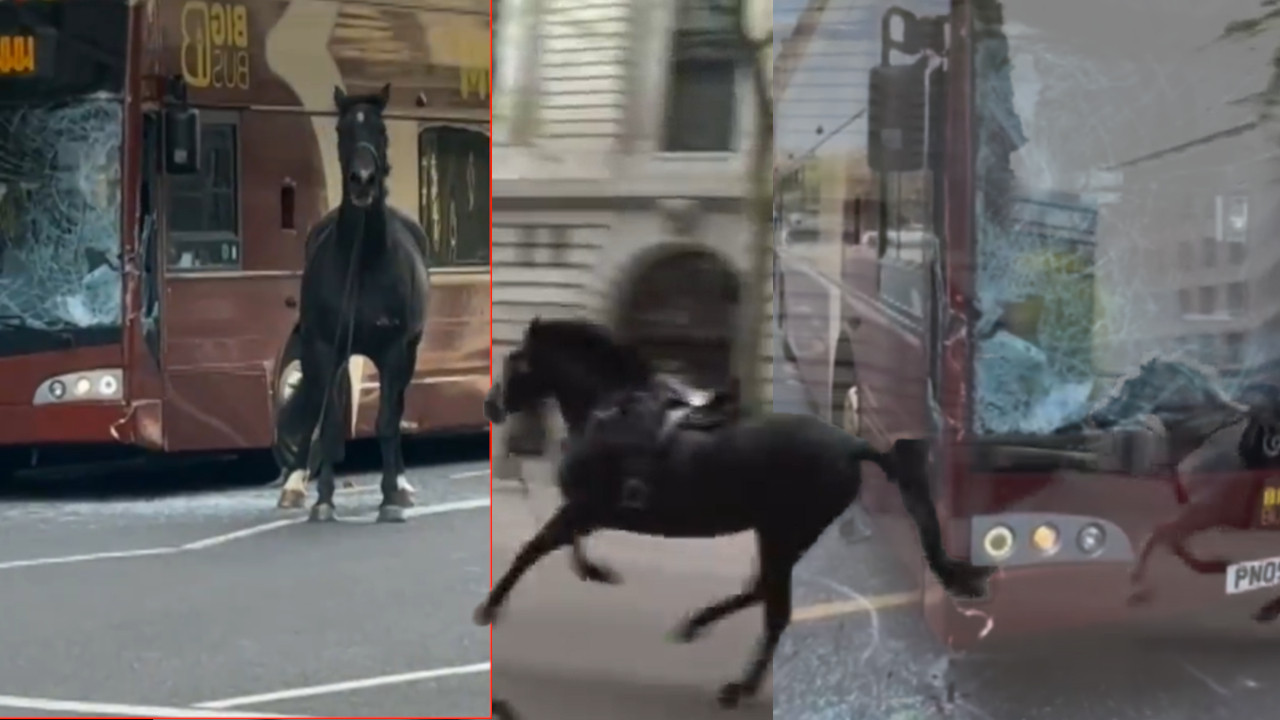 KONJ NAPRAVIO HAOS U LONDONU: Završio karijeru, sad penzioner