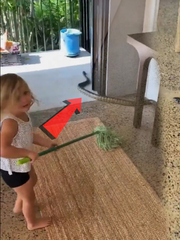 ВЕЛИКА ЗМИЈА У КУЋИ: А видите шта отац учи ЋЕРКУ