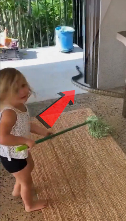 VELIKA ZMIJA U KUĆI: A vidite šta otac uči ĆERKU