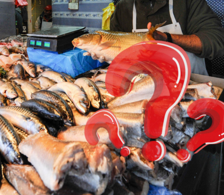 VEOMA ZDRAVA: Riba koja MORA biti na vašem jelovniku