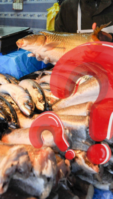 VEOMA ZDRAVA: Riba koja MORA biti na vašem jelovniku