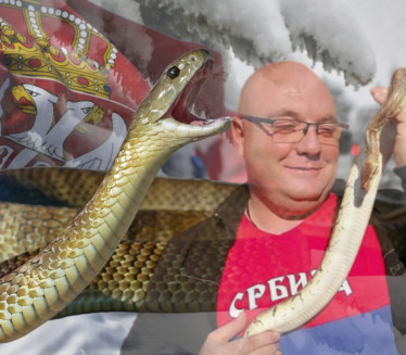 ХЛАДНО, А ЗМИЈЕ СВУД ПО СРБ: Стари кажу - лош знак!
