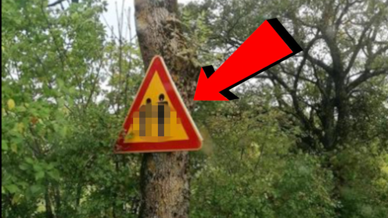 БЕЗОБРАЗАН САОБРАЋАЈНИ ЗНАК: Фотка изазива смех до суза