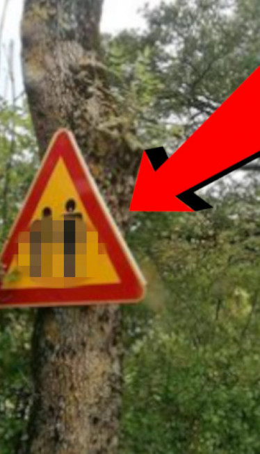 BEZOBRAZAN SAOBRAĆAJNI ZNAK: Fotka izaziva smeh do suza
