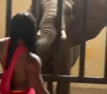 UMALO NASTRADAO: Influenser preskočio ogradu u zoo vrtu
