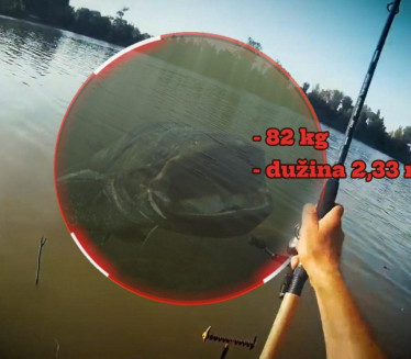 Sale ulovio GRDOSIJU od 82 kg - riba duga preko 2 m