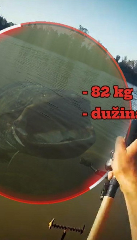 Сале уловио ГРДОСИЈУ од 82 кг - риба дуга преко 2 м