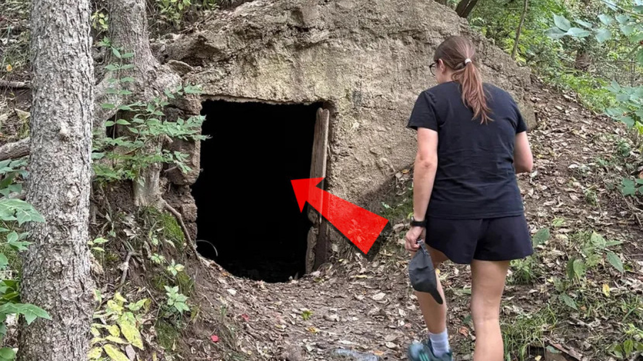 Šetali kroz šumu - iznenadilo ih je ono što su NAŠLI