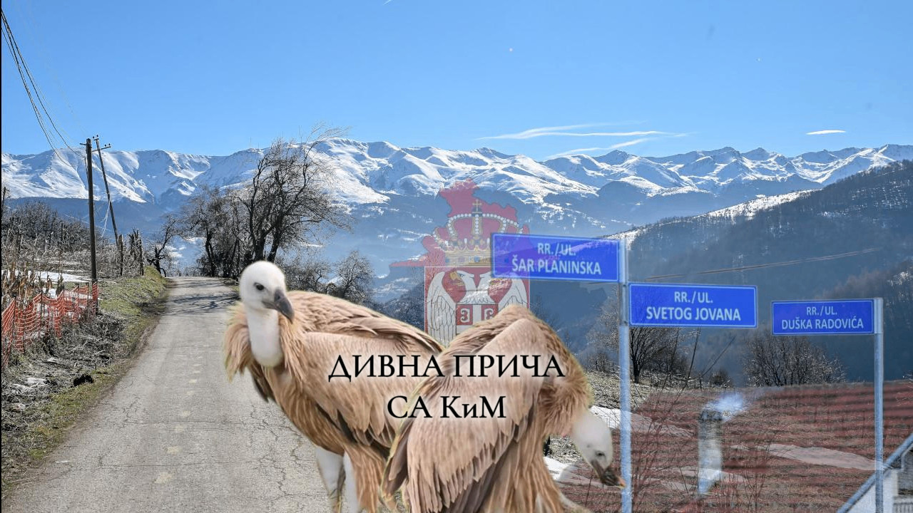 ДИВНА ПРИЧА: Ретки као Срби на КиМ и не напуштају своју Шару