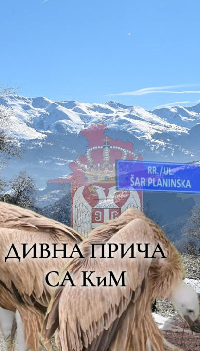 DIVNA PRIČA: Retki kao Srbi na KiM i ne napuštaju svoju Šaru