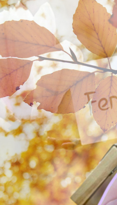 FENG ŠUI JESENJE ČIŠĆENJE Otvorite vrata izobilju i ličnom miru