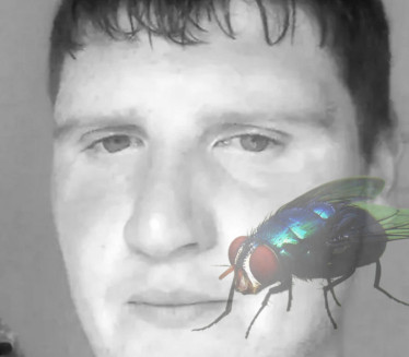 Радник на фарми умро након уједа муве