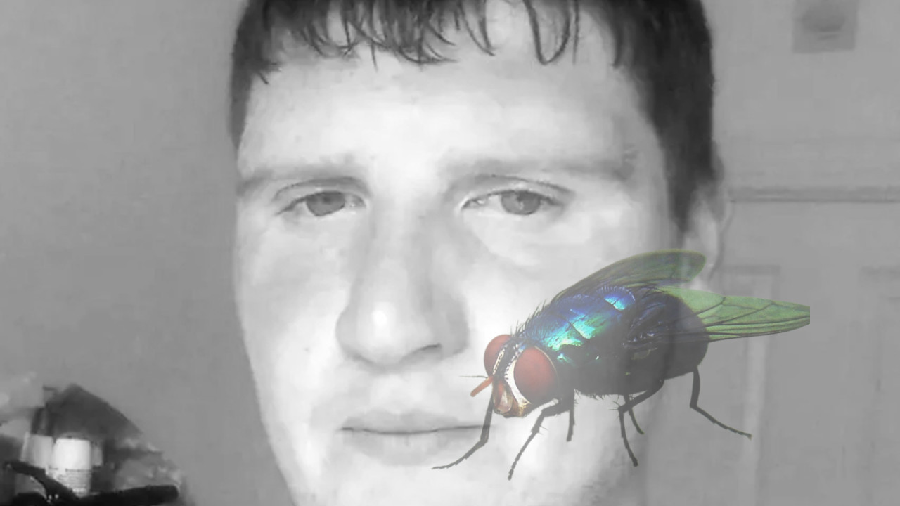 Radnik na farmi umro nakon ujeda muve