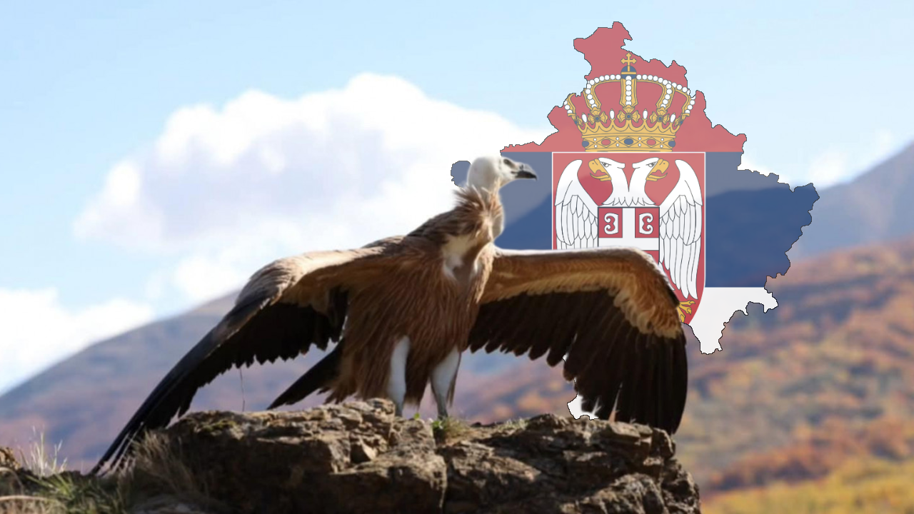 VELIČANSTVENO: Sup ponovo leti iznad KiM (FOTO/VIDEO)